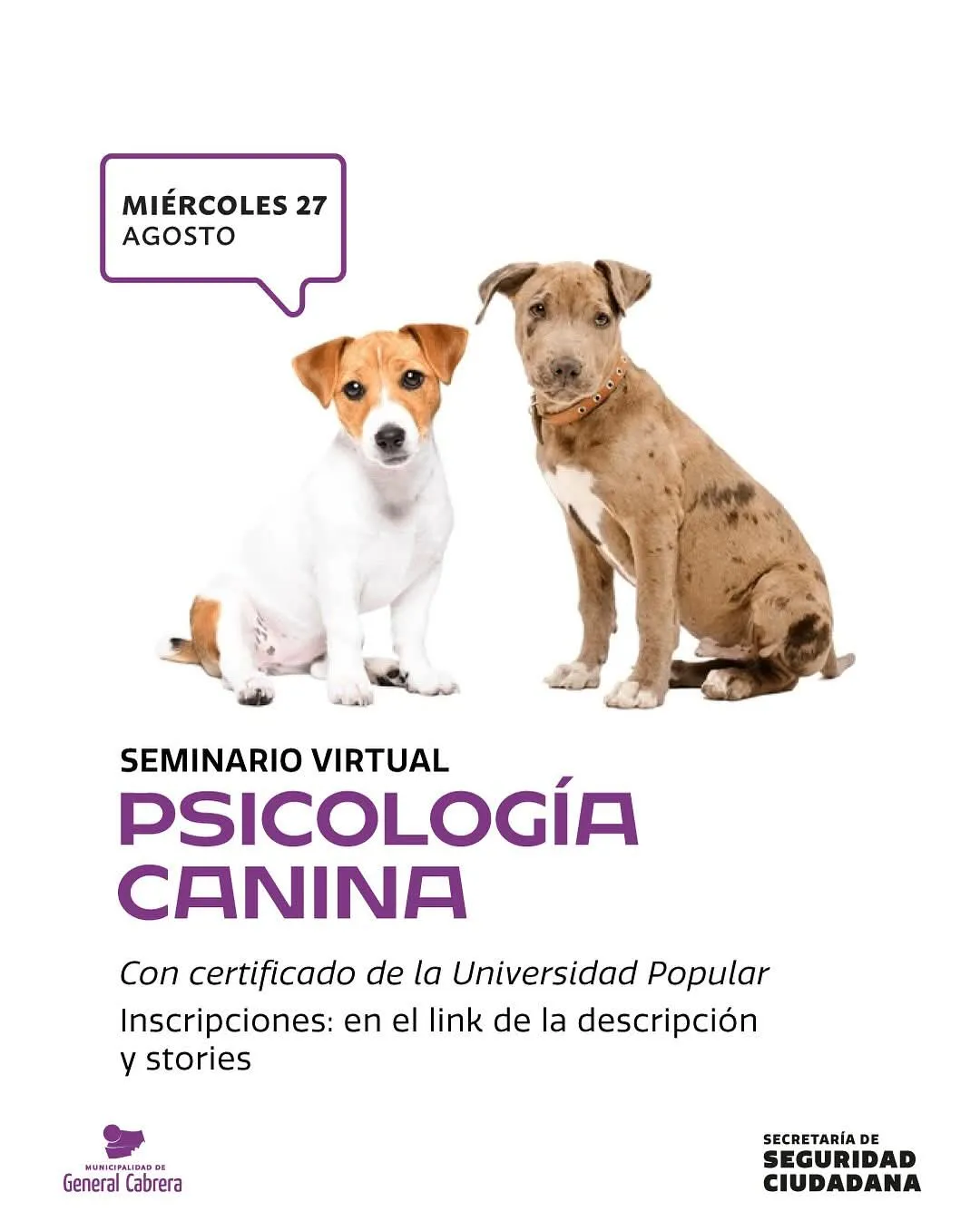 cabrera mascotas
