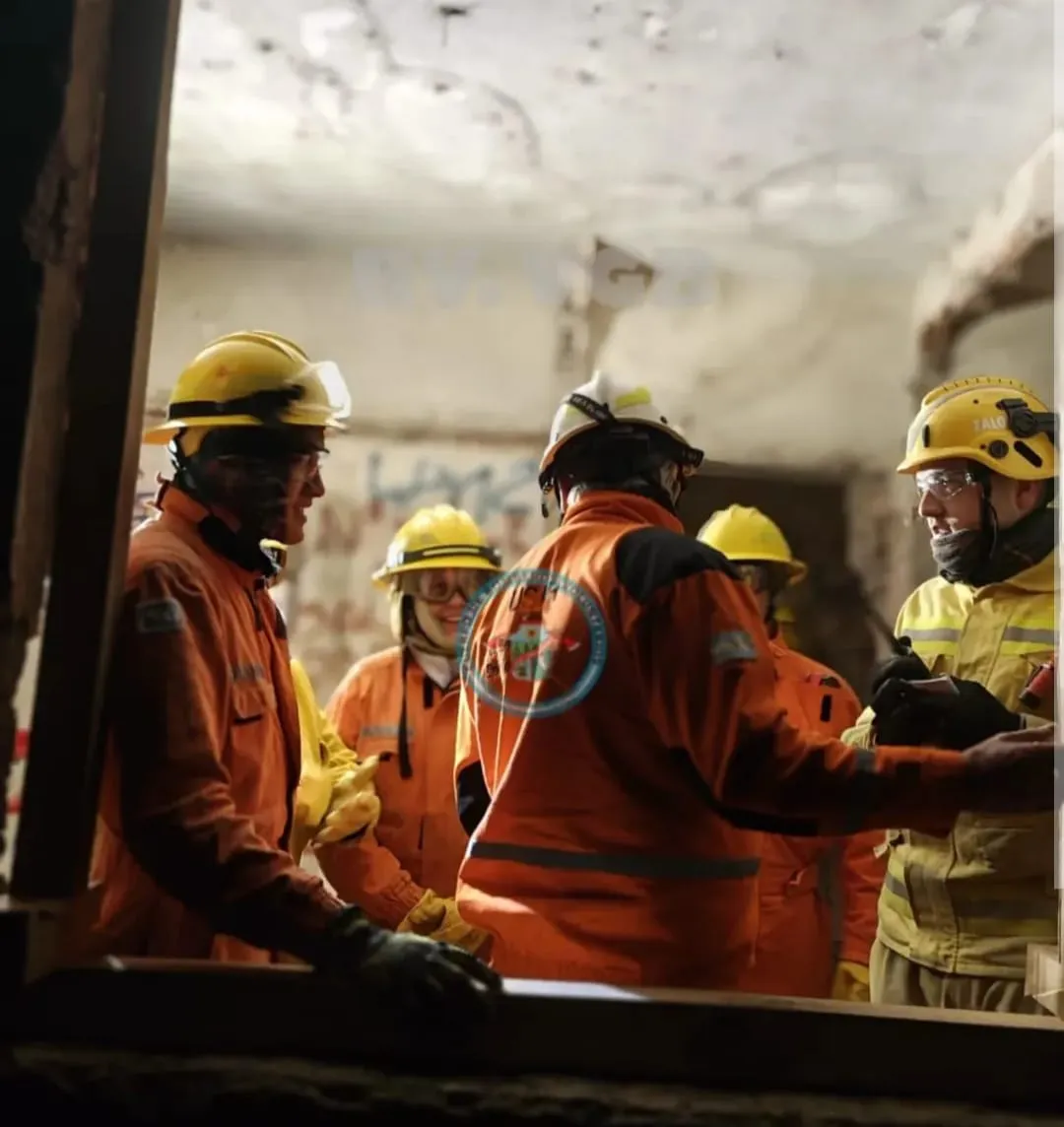 bnomeros belgrano291