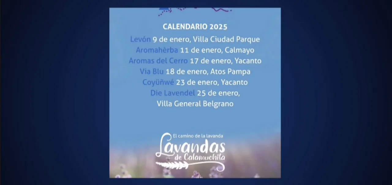 camino lavanda3