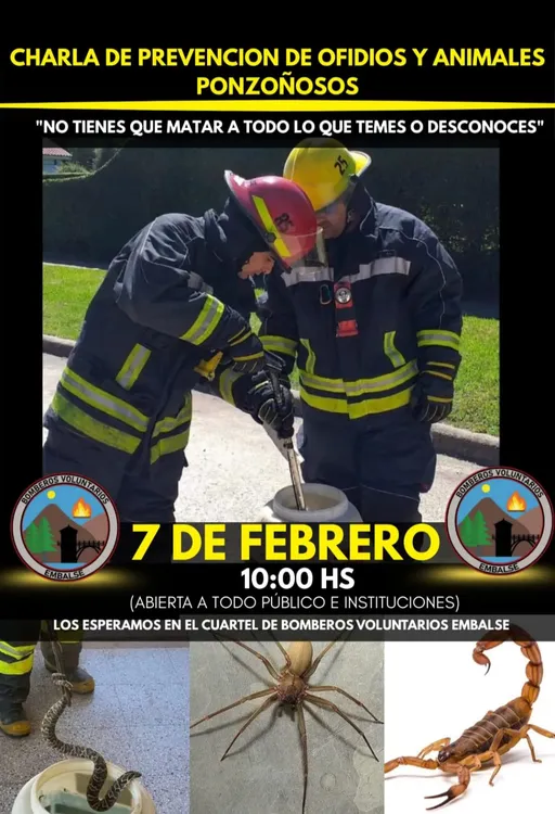 WhatsApp Image 2026-02-02 at 22.17.13bbomeros chaelas3