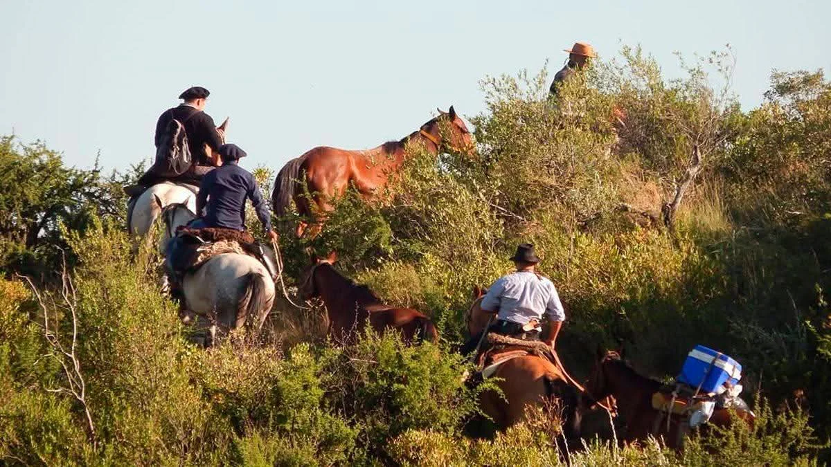 WhatsApp Image 2026-03-24 at 21.16.42ginetes3