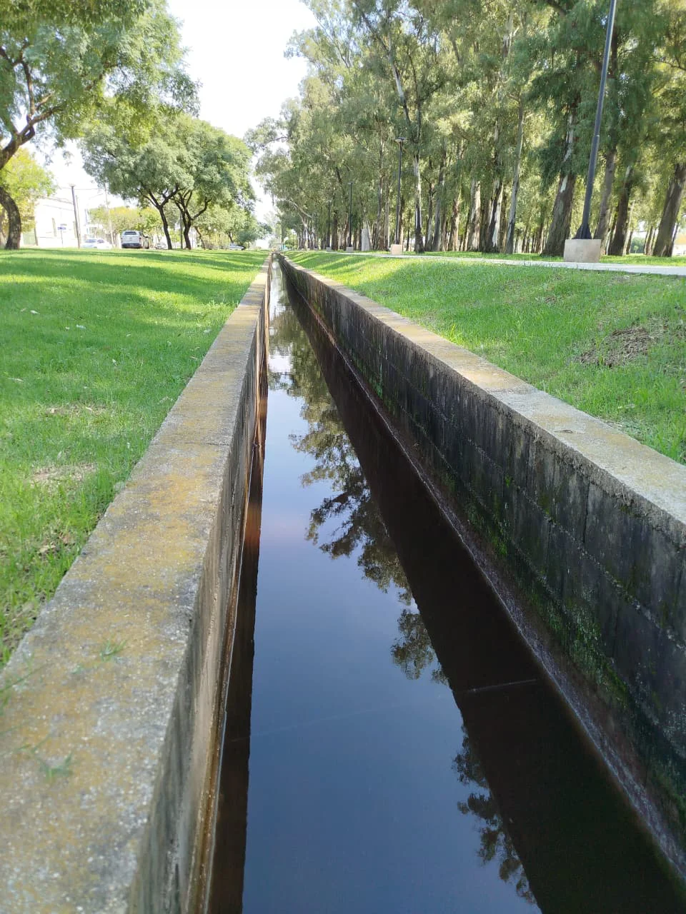 WhatsApp Image 2026-04-01 at 13.35.01alicia3