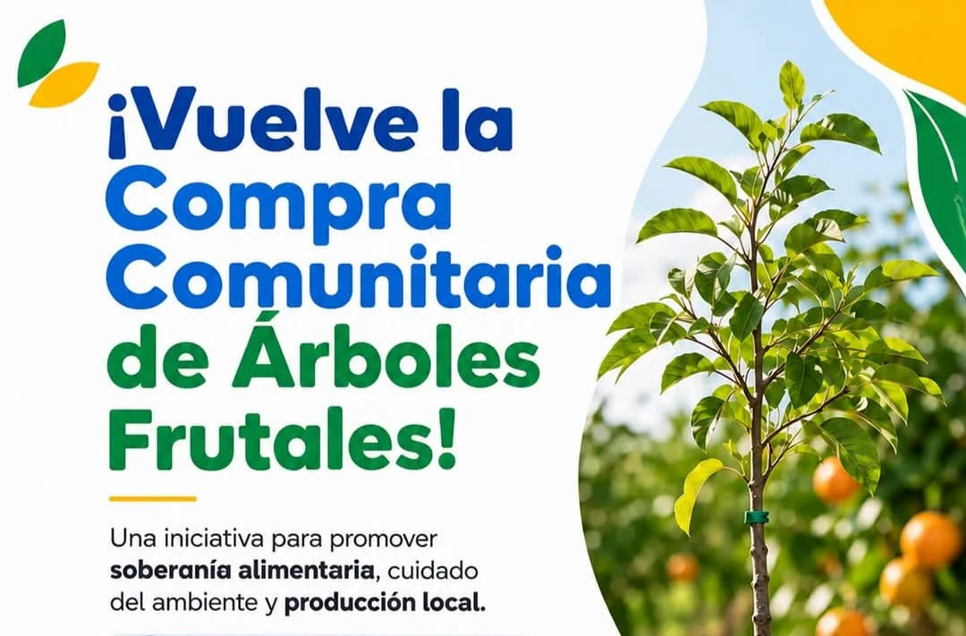 WhatsApp Image 2026-06-16 at 21.19.31arboles44