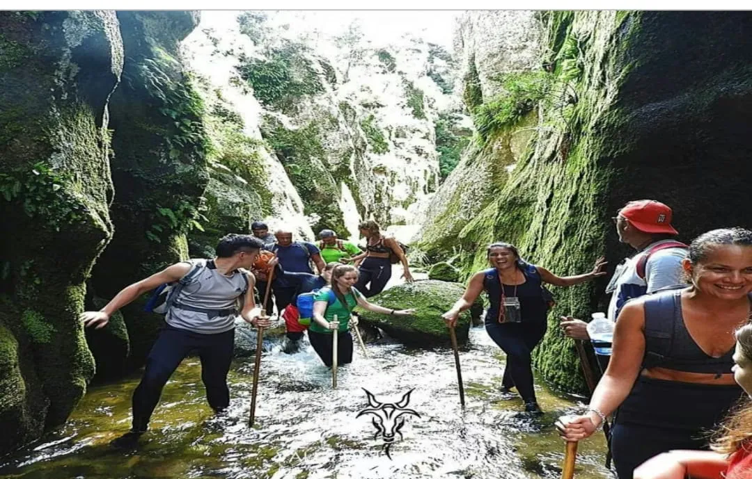 WhatsApp Image 2026-02-16 at 10.53.47gentw11