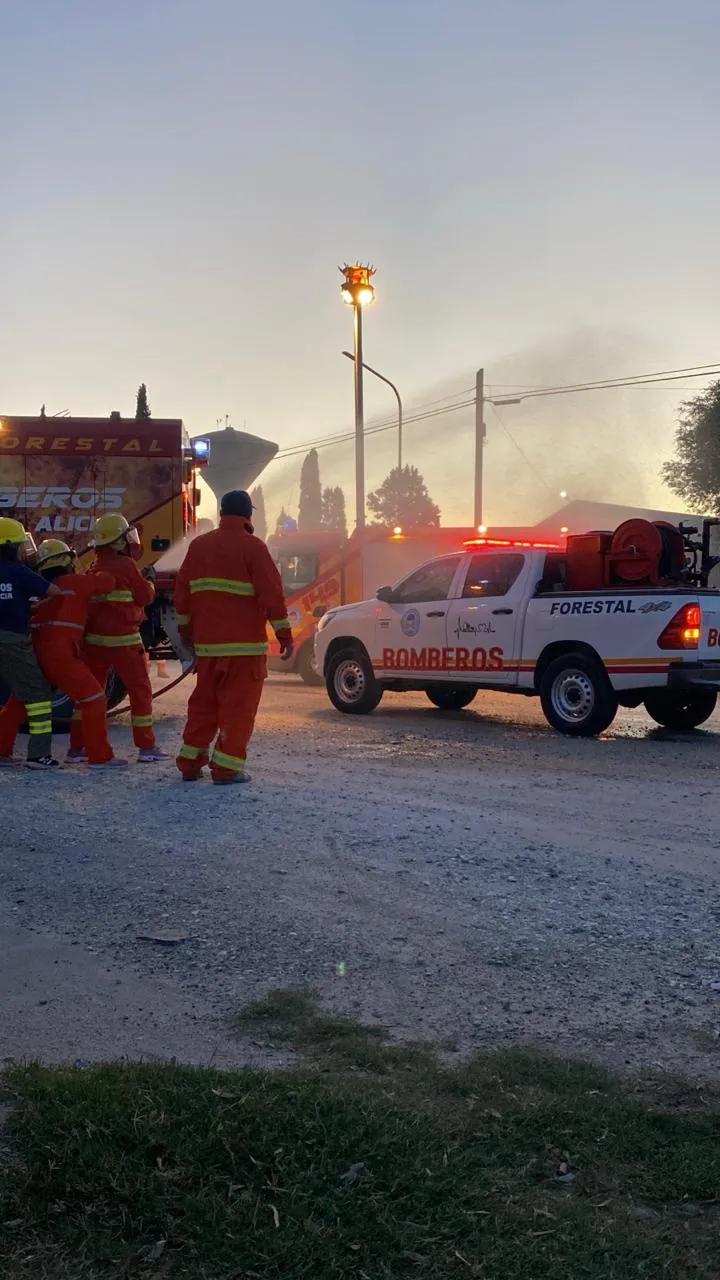 bomros alikcafiesta4