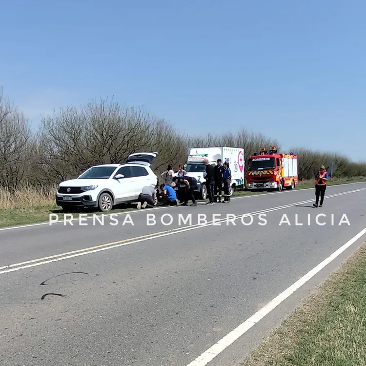 bomeros alicia199