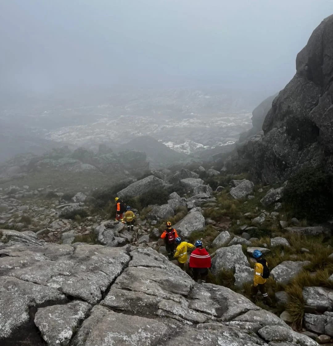 WhatsApp Image 2026-04-03 at 19.37.53champaqui0otra