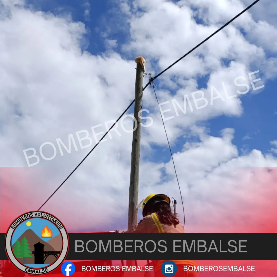 gato  bombreros embalse6