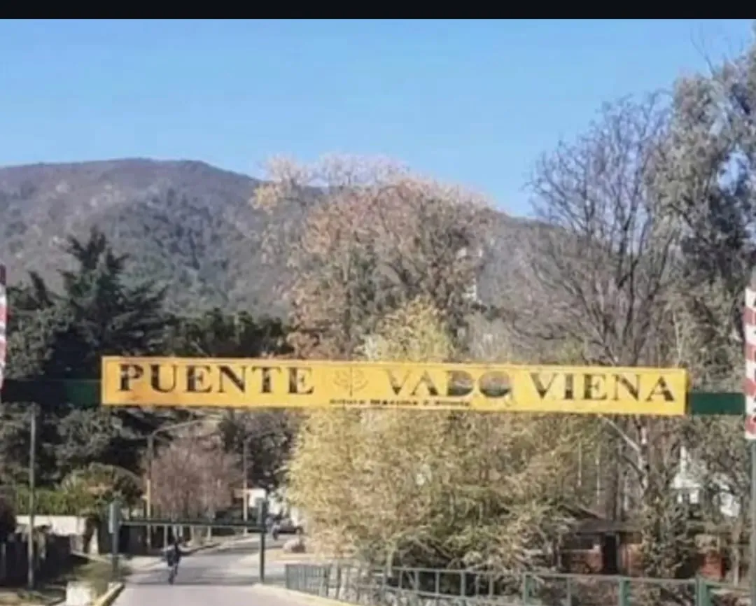 WhatsApp Image 2026-01-04 at 22.54.44vado vinea22