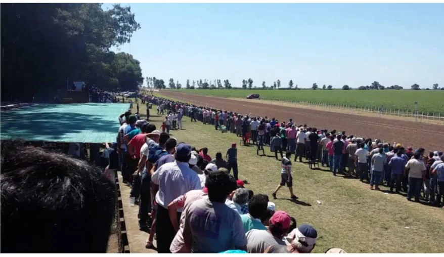 WhatsApp Image 2026-03-20 at 21.15.16caballos44