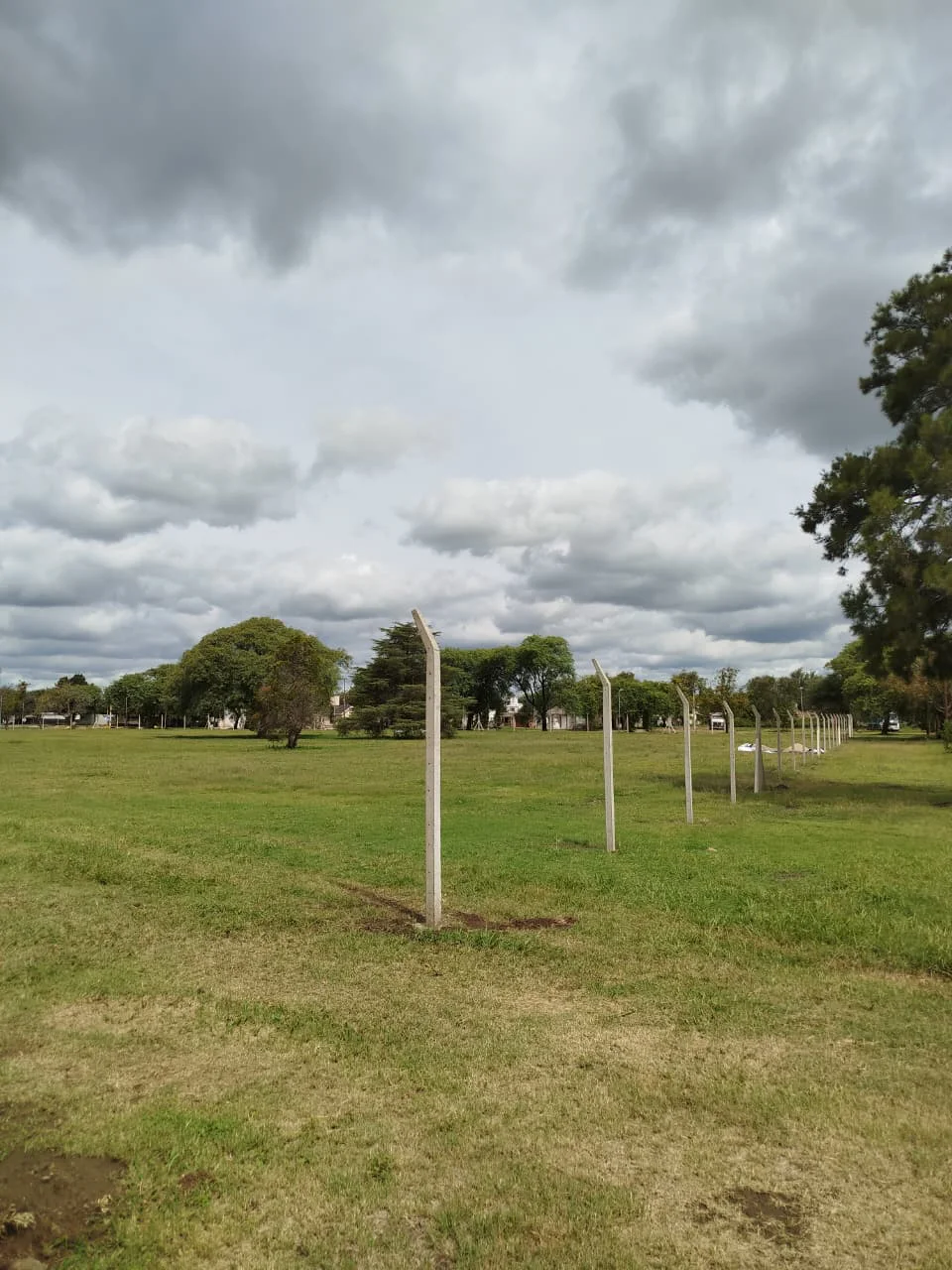 WhatsApp Image 2026-03-07 at 22.13.30club5