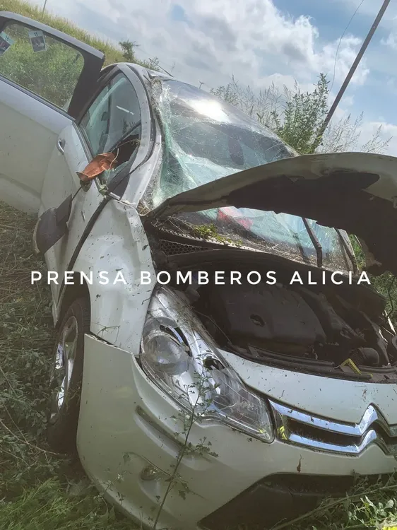 WhatsApp Image 2026-01-16 at 12.24.58bobmreosqlicia95