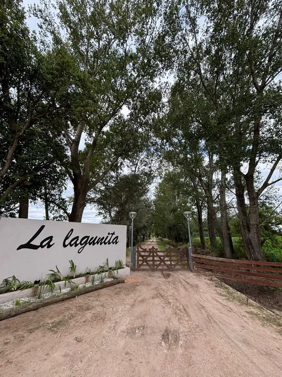 WhatsApp Image 2026-02-21 at 10.06.15la lagunita pórtada7