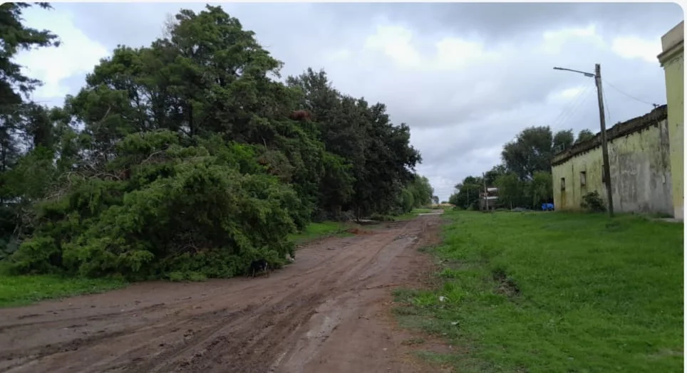 WhatsApp Image 2026-03-03 at 20.49.22colinia55