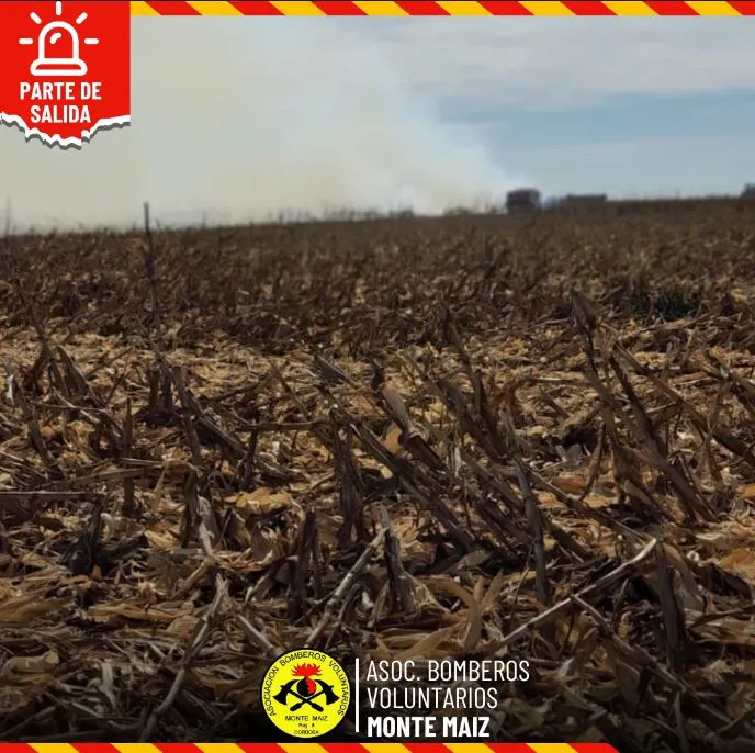 bobmberoas monte maiz555