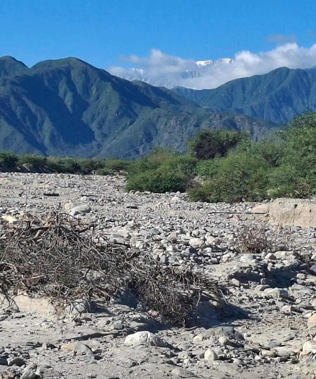 WhatsApp Image 2026-02-10 at 22.09.30ciclismo1