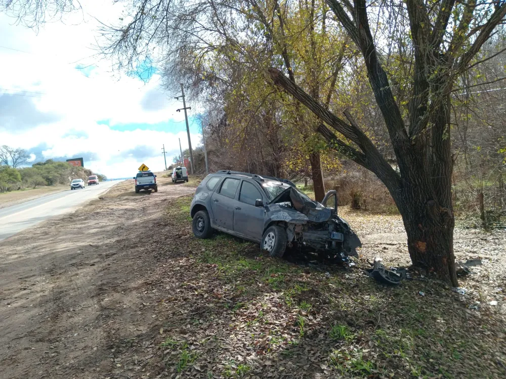 WhatsApp Image 2026-06-08 at 20.19.08auto arbol1