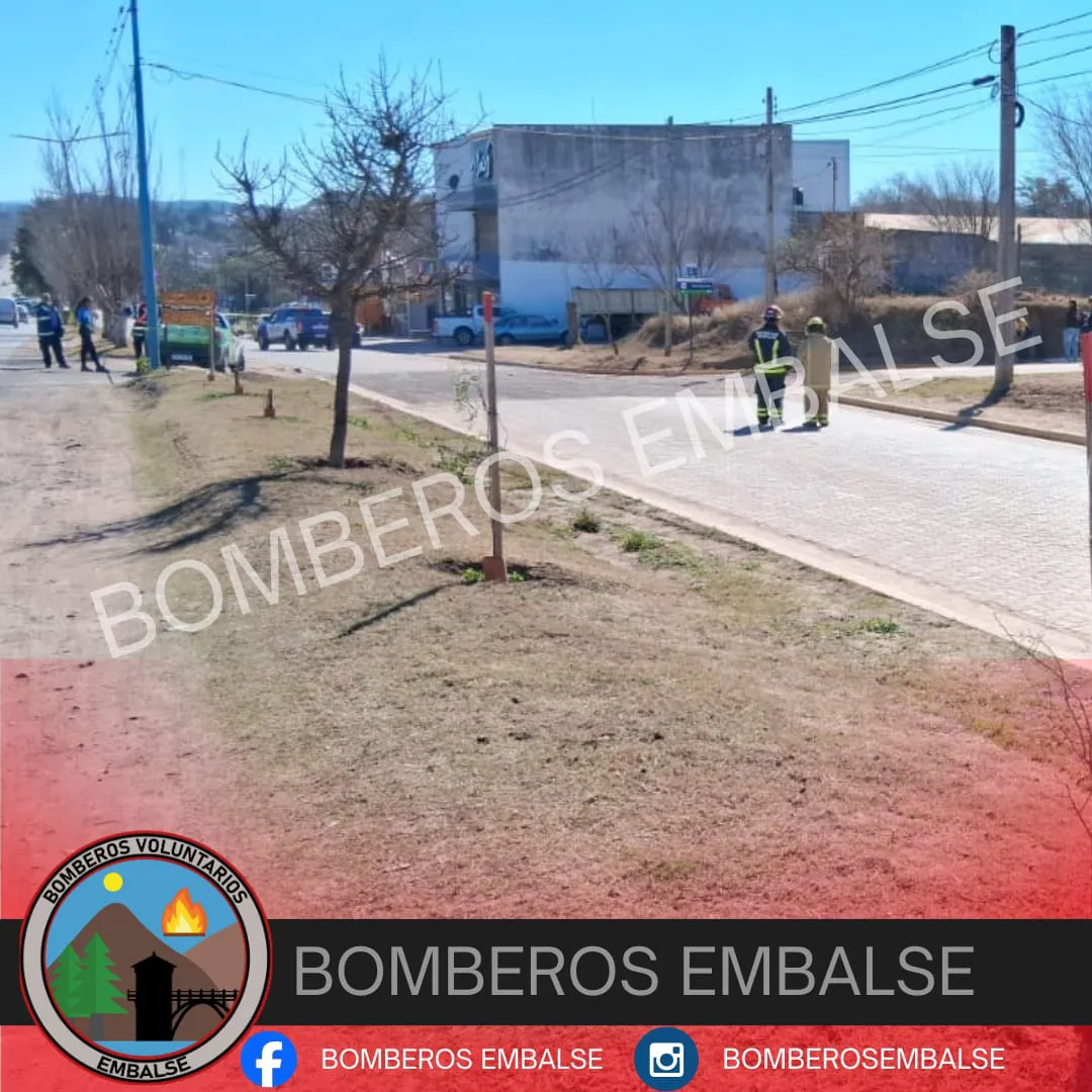 bobmeros 10 de agosto3