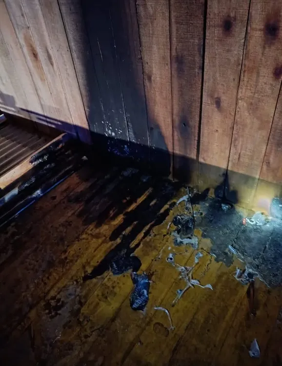 WhatsApp Image 2026-03-27 at 08.50.41incnedio1