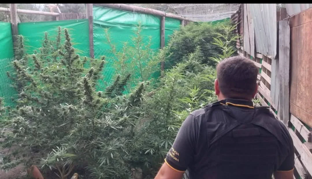 WhatsApp Image 2026-03-20 at 21.04.16poliocaportada