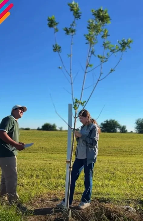 WhatsApp Image 2026-03-25 at 20.54.42arboles595959