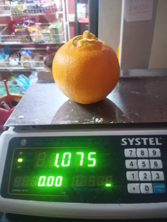 63a30f90-a20d-4501-b5d3-4d7036aa7716naranja1