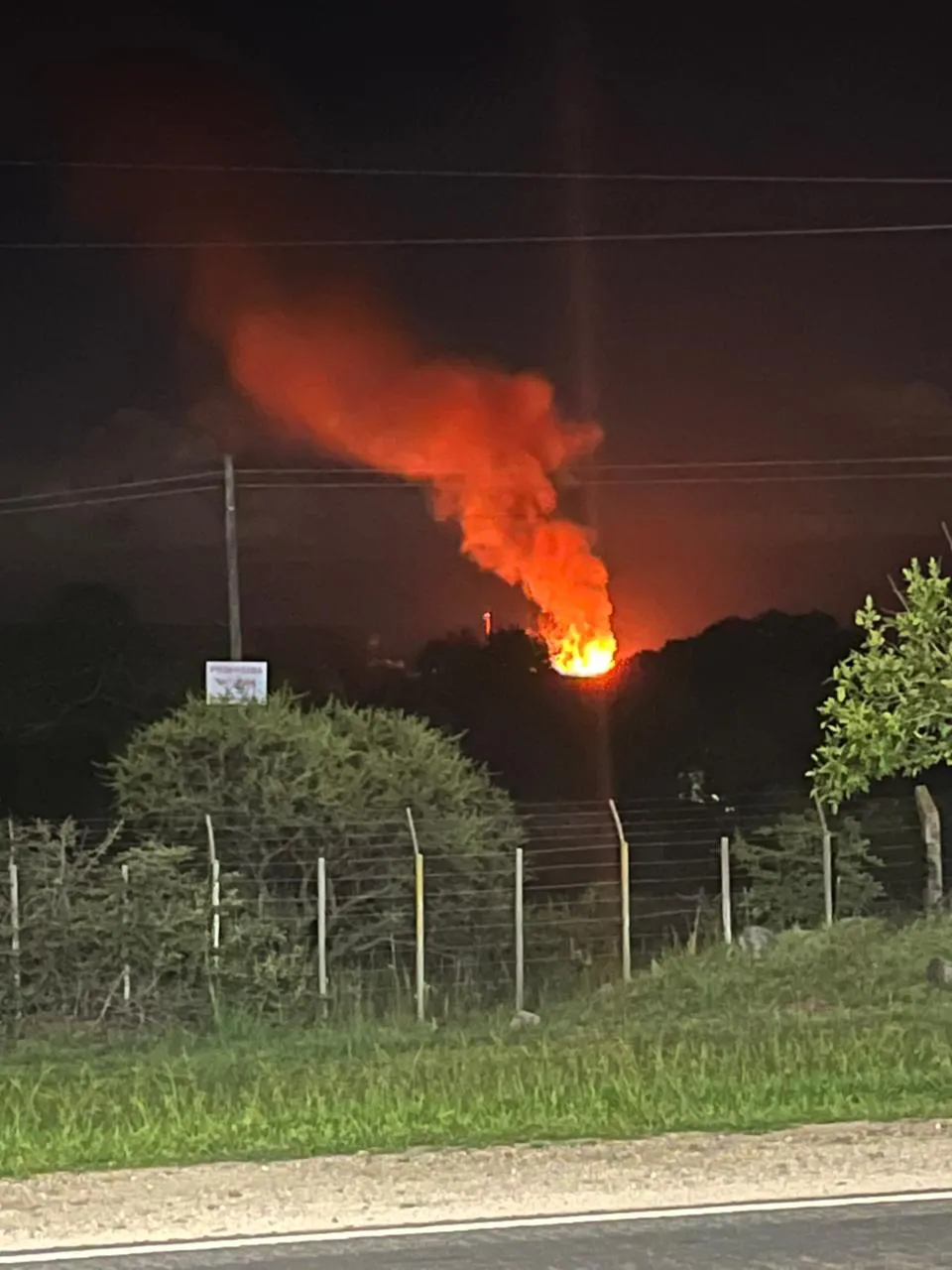 WhatsApp Image 2026-02-04 at 00.23.47fuego 2