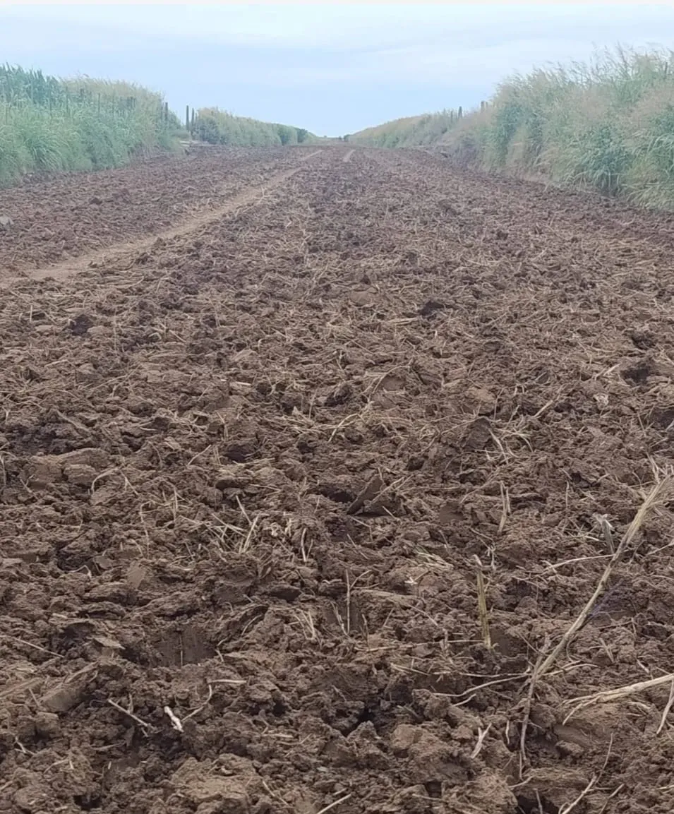 WhatsApp Image 2025-12-19 at 17.59.20cvaminera22