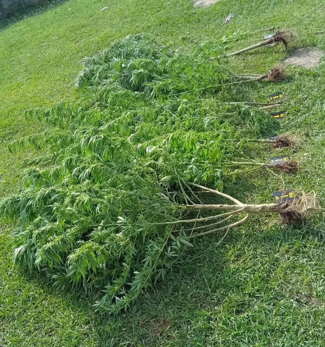 WhatsApp Image 2026-03-20 at 21.04.15policia2