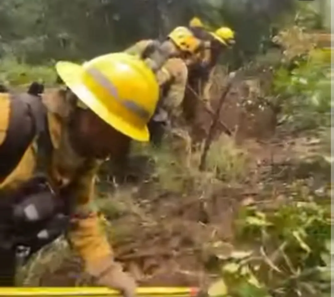 WhatsApp Image 2026-01-17 at 00.20.32bbomeros bewrrotaran2