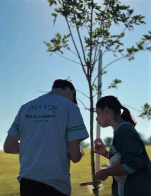 WhatsApp Image 2026-03-25 at 20.54.42arboles555