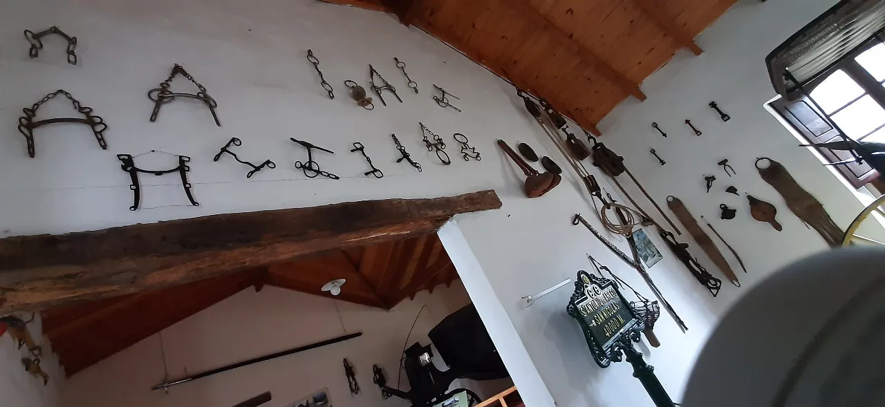 museo del carruaje 4