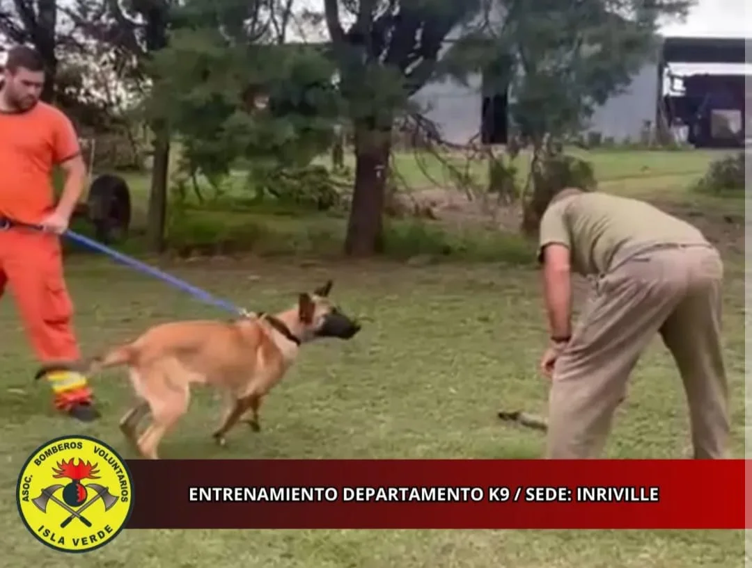 WhatsApp Image 2026-03-16 at 21.24.15perro2