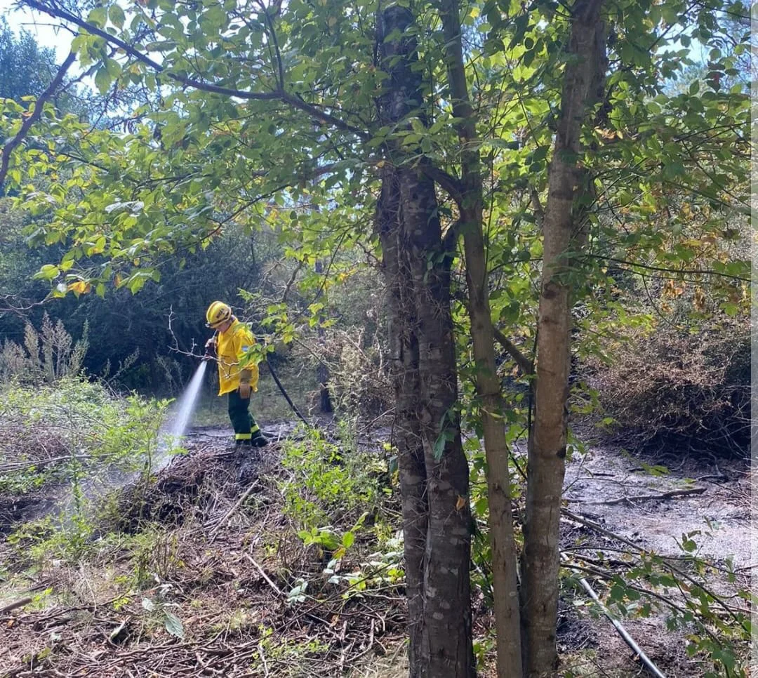 WhatsApp Image 2026-03-20 at 21.06.12bobmeros1