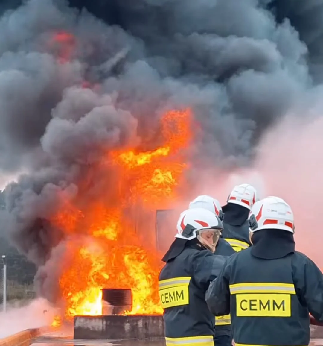 WhatsApp Image 2026-03-30 at 19.51.25bobmeros monte1