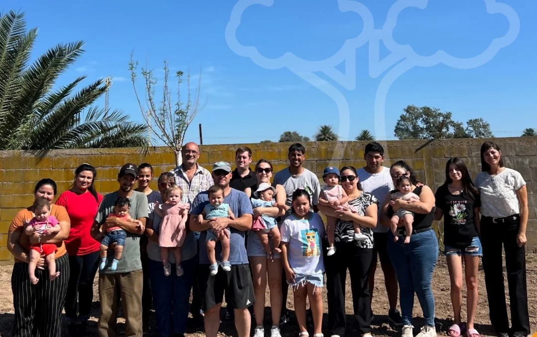 WhatsApp Image 2026-04-01 at 20.50.37arbolers2