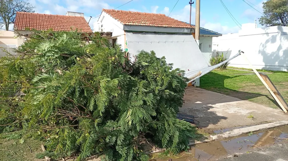 0e6ca2b2-bb18-4d63-bd59-0c548b4b9889viento3