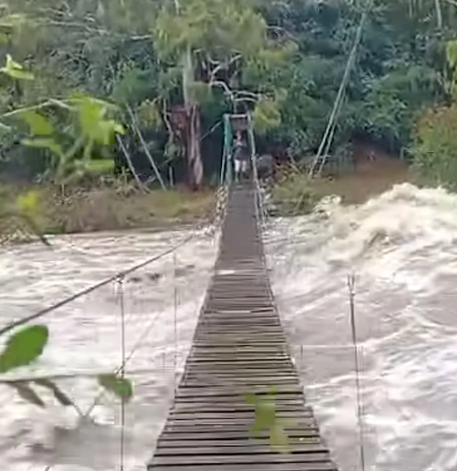 WhatsApp Image 2026-04-02 at 14.12.37puiente1