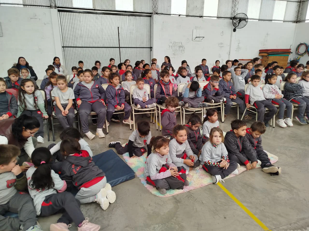 WhatsApp Image 2026-05-01 at 21.47.53alic anota7