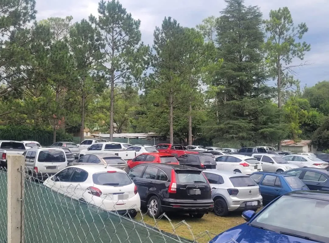 WhatsApp Image 2026-02-02 at 08.41.02fiassta3