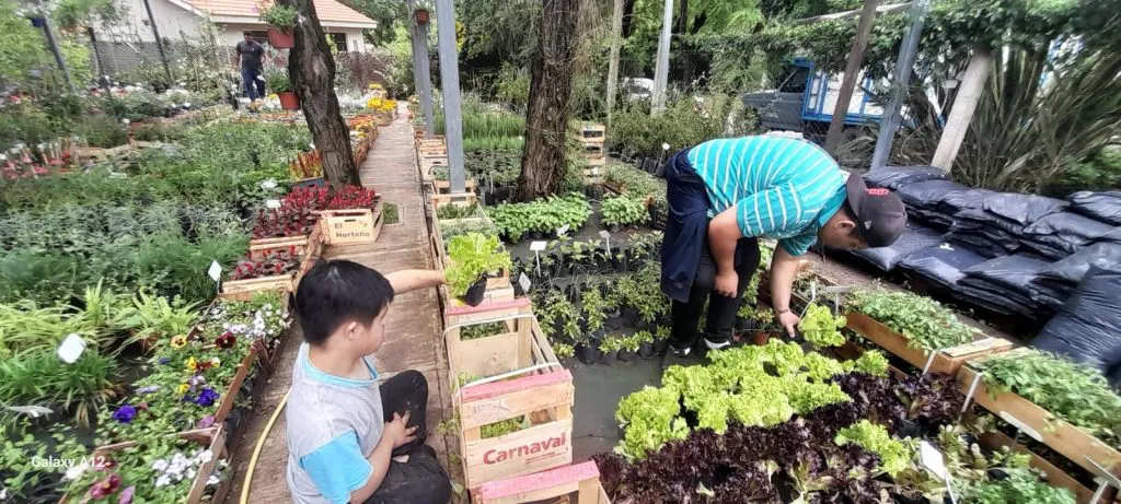 WhatsApp Image 2026-02-04 at 08.25.25inclusion1