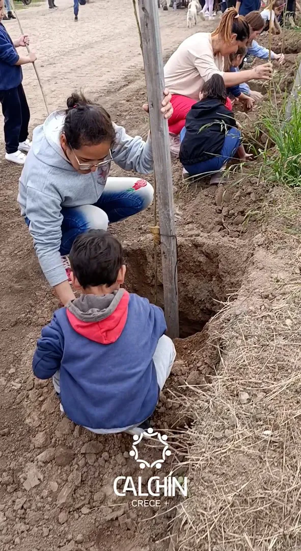 plantacion de arboles portada