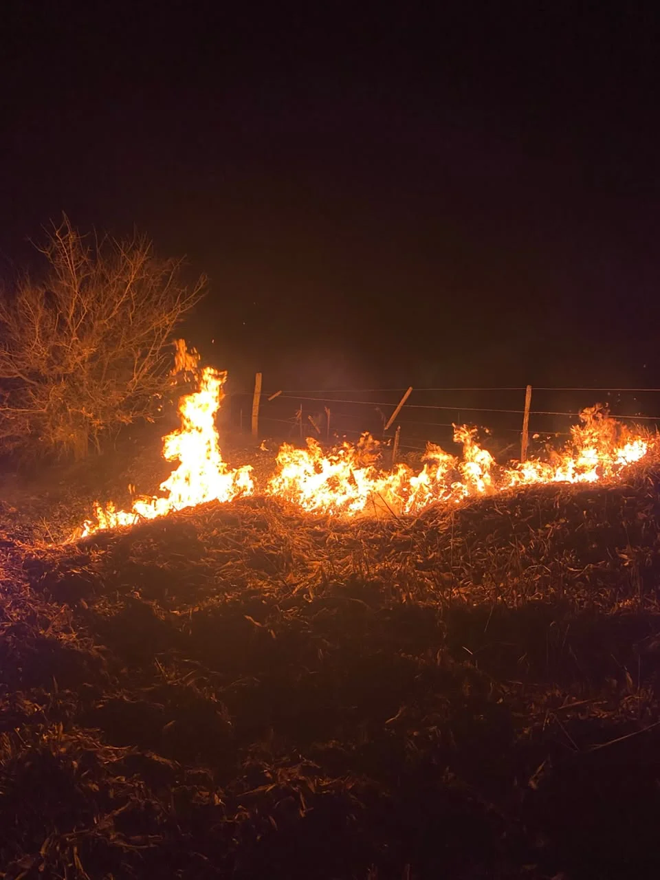 be8a6a9b-77b2-40bf-a772-10c95fdcc804incendio55