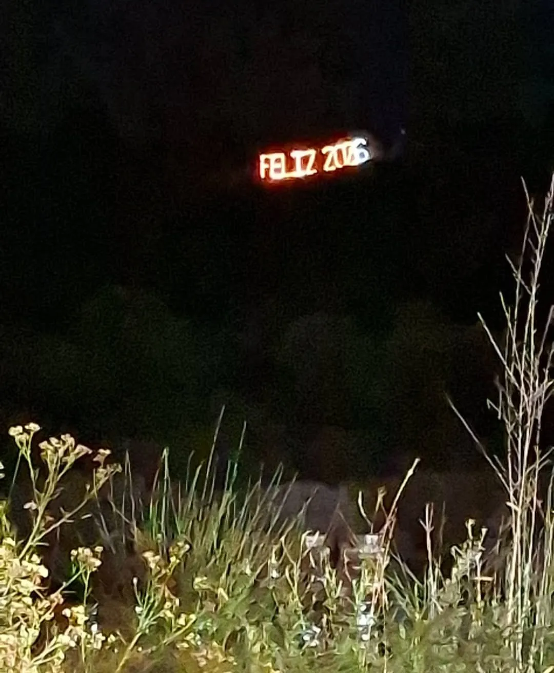 WhatsApp Image 2026-01-04 at 23.16.19bbmeros 2belgrano3