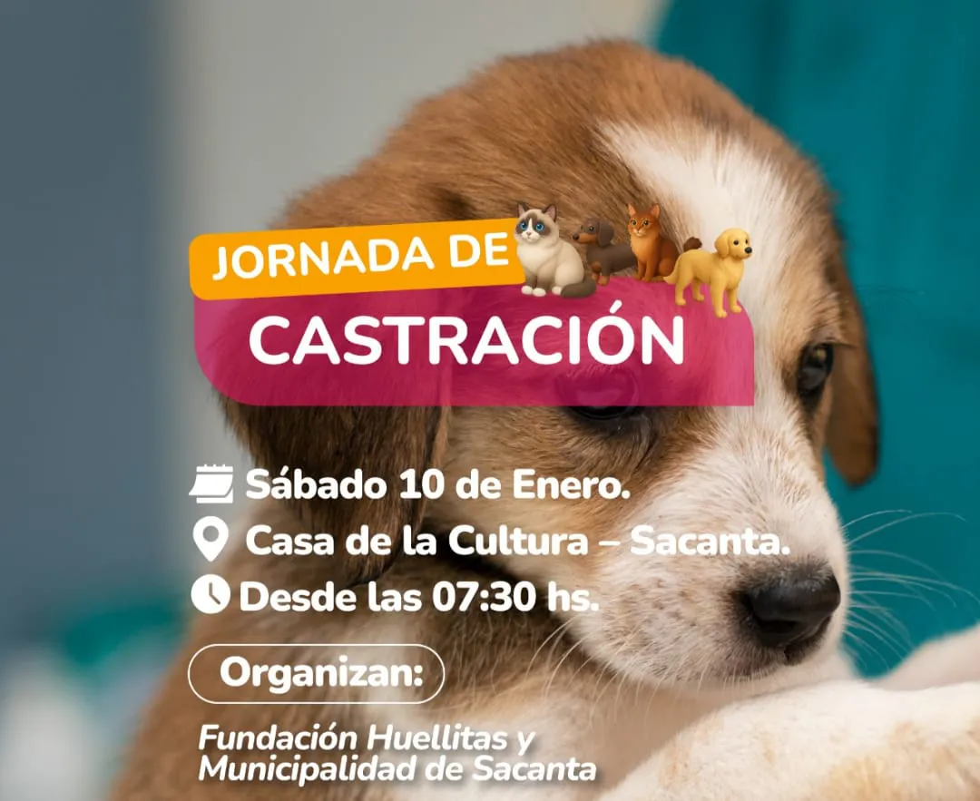 WhatsApp Image 2026-01-06 at 09.18.30castacion portafda