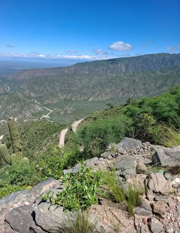 WhatsApp Image 2026-02-10 at 22.09.31ciclismo2