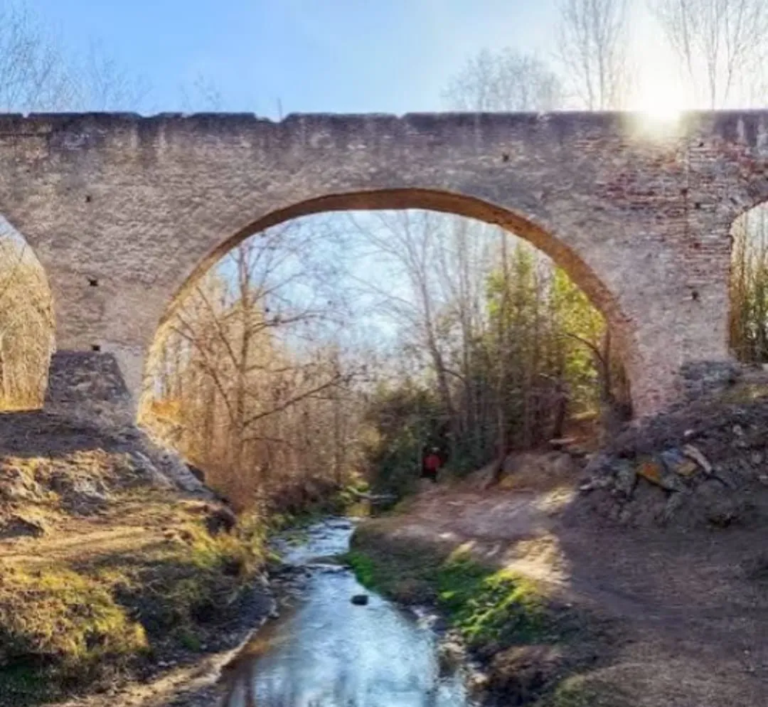 WhatsApp Image 2025-12-29 at 08.54.53calicanto santa rosa33