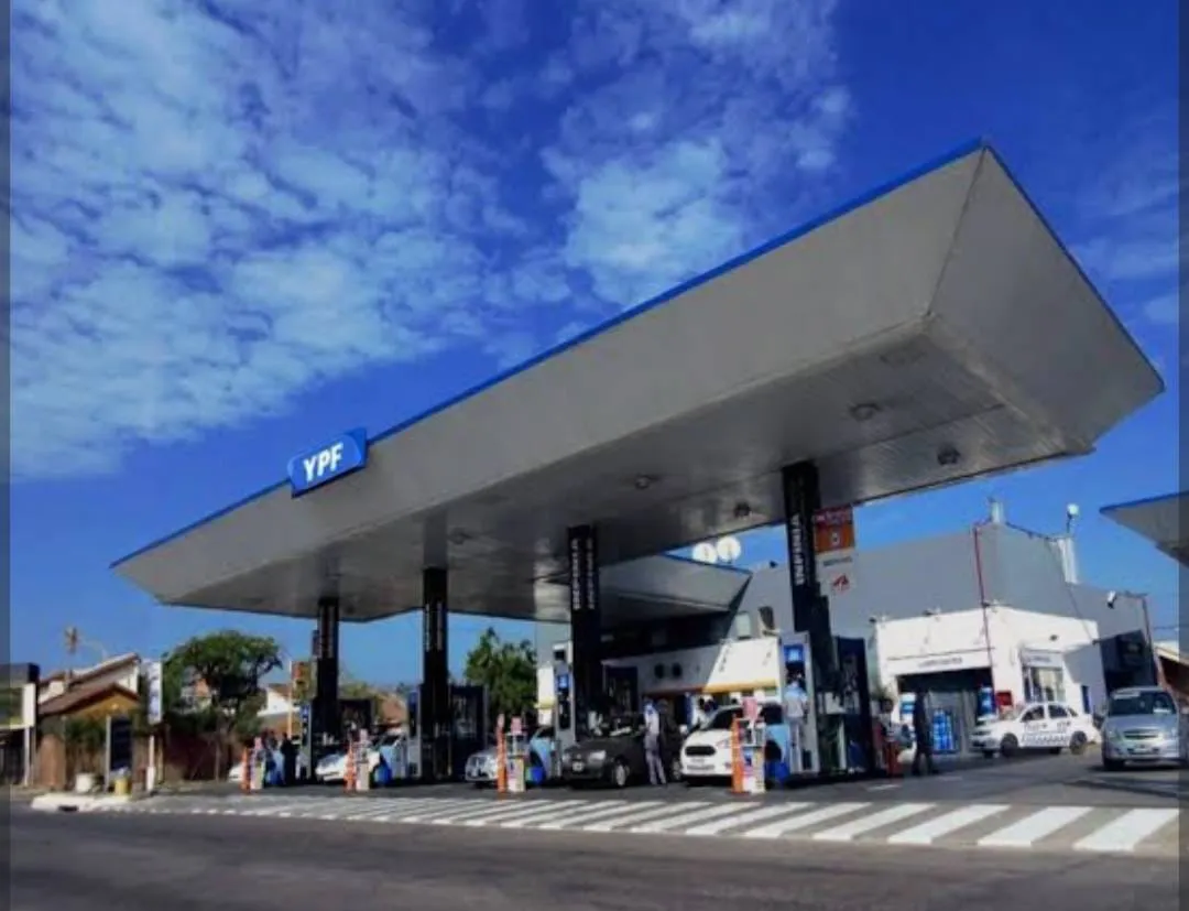 WhatsApp Image 2026-01-15 at 09.24.37ypf 22