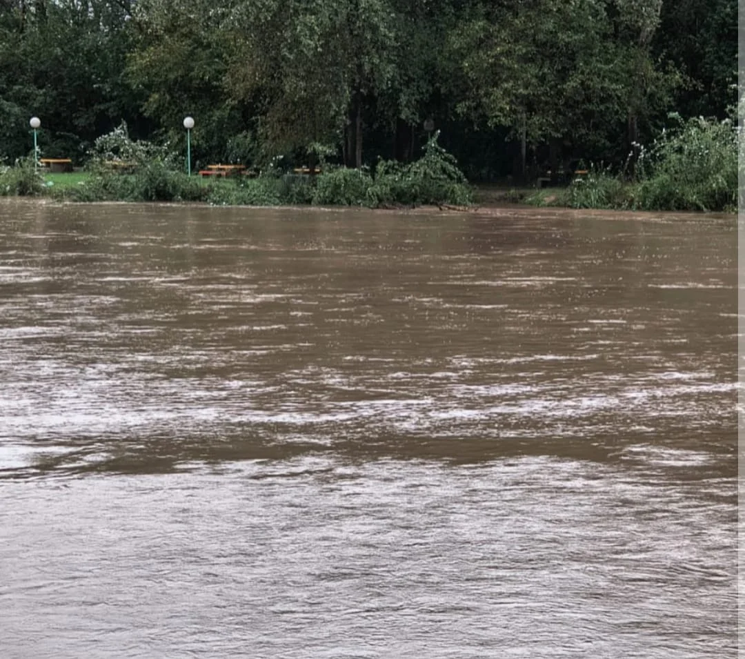 WhatsApp Image 2026-04-04 at 15.05.52xanes2