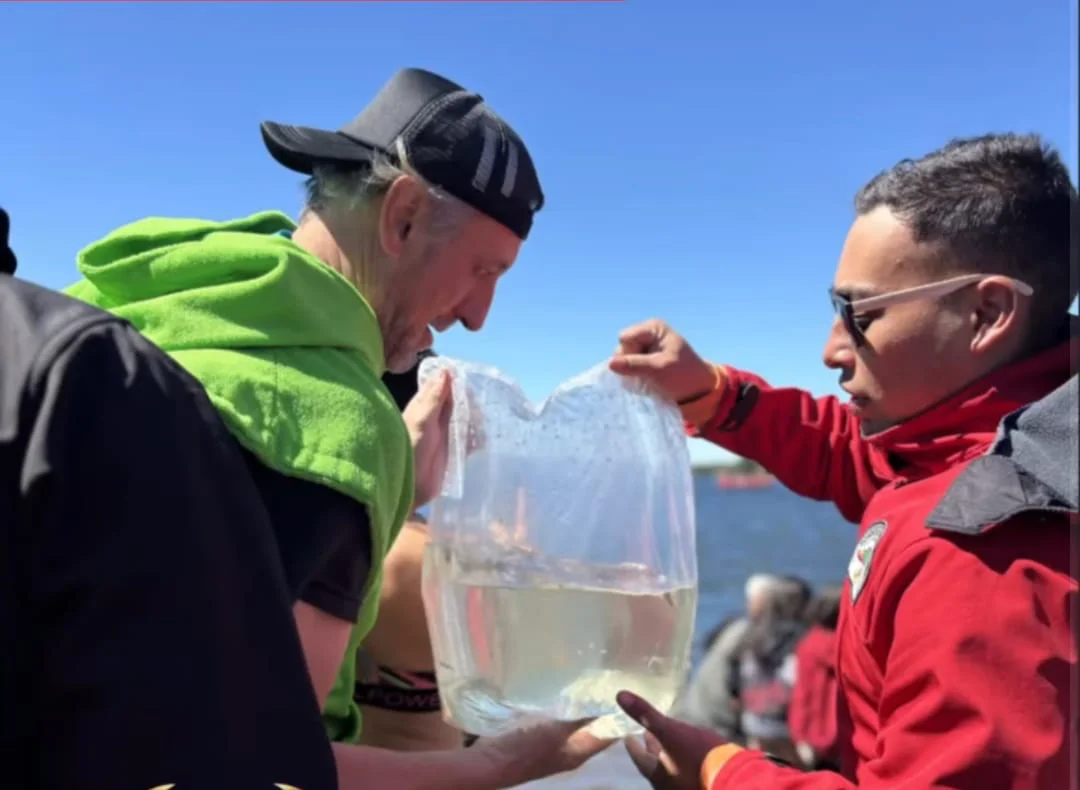 WhatsApp Image 2026-03-22 at 21.05.27villa2